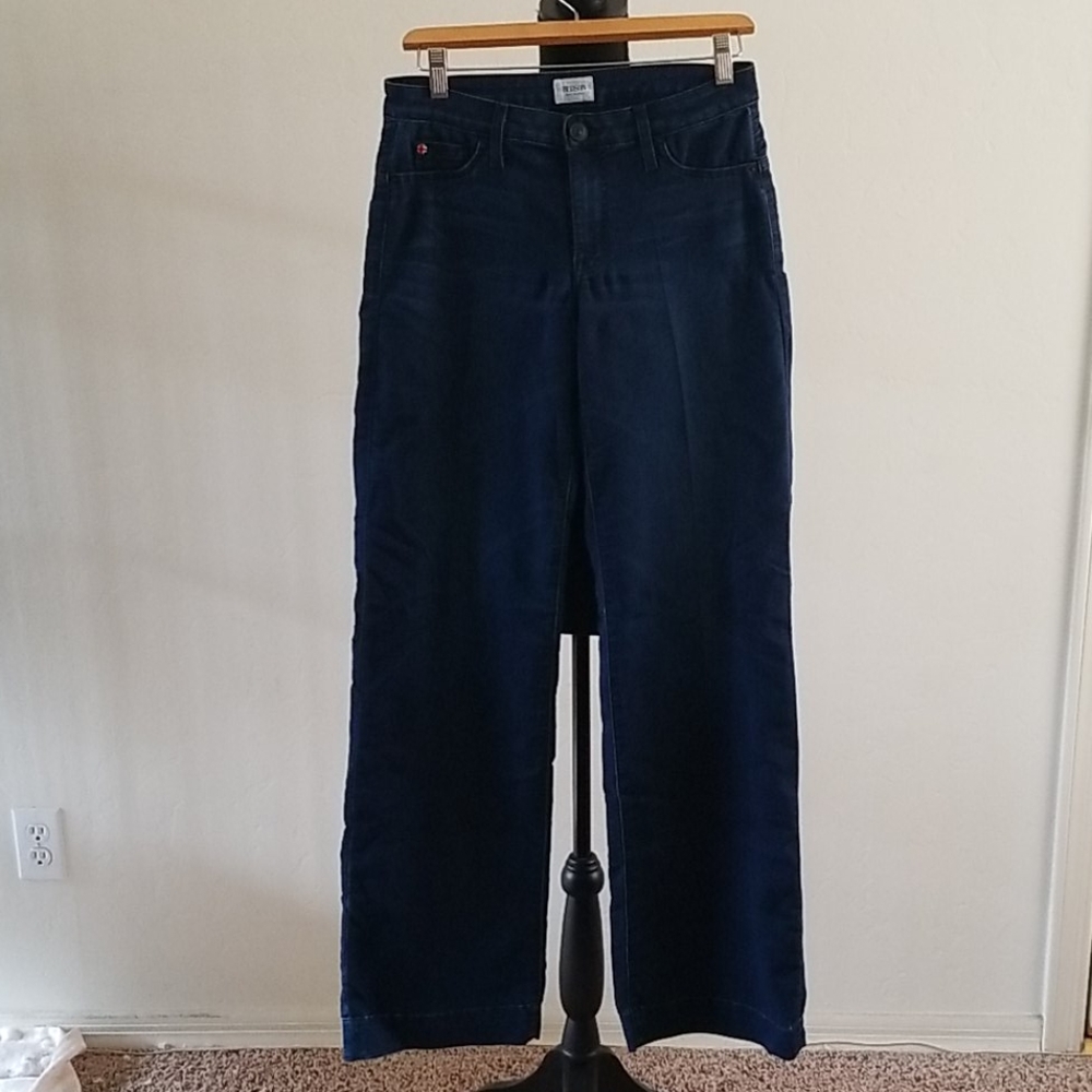 Hudson Wide Leg Stretch Jeans